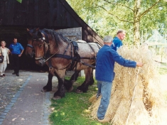 Openluchtmuseum Ootmarsum Nederland