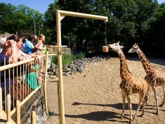 Dierentuin Rhenen