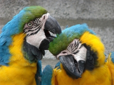 Zoo Veldhoven