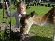 Speeltuin Dongen