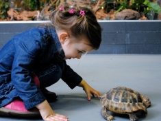 Dierentuin Breda