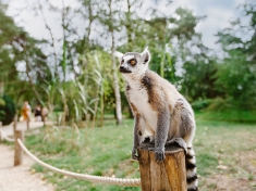 Dierentuin Hilvarenbeek
