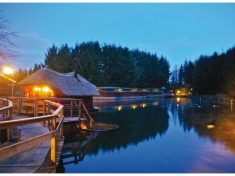Sauna Drome Putten