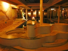 Sauna Heerhugowaard