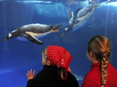 Sea Life Abenteuer Park