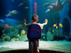 SEA LIFE Blankenberge