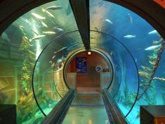 SEA LIFE Konigswinter