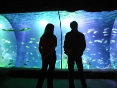 SEA LIFE Munchen