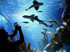 Aquarium München