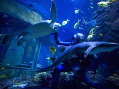 SEA LIFE Munchen Deutschland