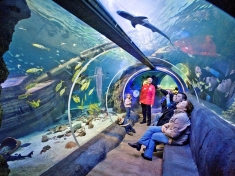 SEA LIFE Oberhausen