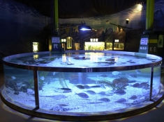 Aquarium Oberhausen
