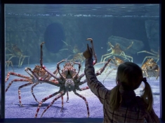SEA LIFE Oberhausen Deutschland