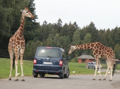 Serengeti Park