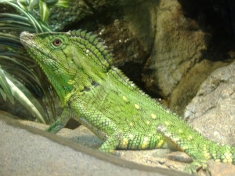 Dierentuin Blankenberge