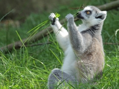 Zoo Straubing
