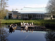 Tiergarten Straubing Deutschland