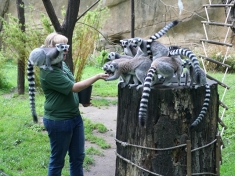 Tierpark Cottbus