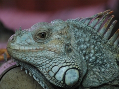 Tierpark Neumuenster
