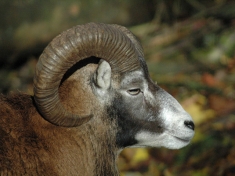 Zoo Neumünster