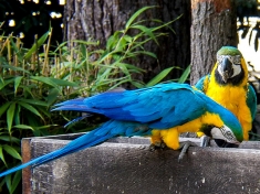 Zoo Ströhen