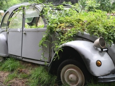Tuin Appeltern