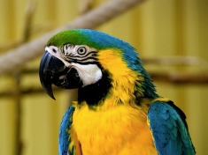 Dierentuin Middelburg