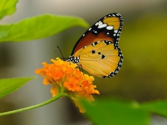 Dierentuin Havelte