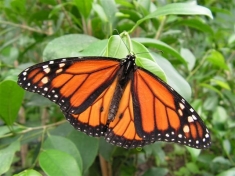 Dierentuin Leidschendam