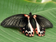 Dierentuin Waarland