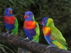 Zoo Marlow (Nordvorpommern)