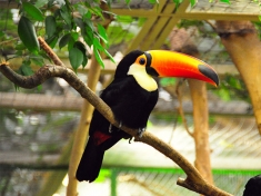 Weltvogelpark Walsrode