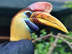 Zoo Walsrode