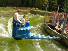 Wild- Und Freizeitpark Klotten