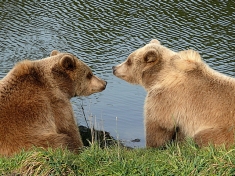 Wildpark Poing