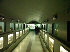 Zeeaquarium