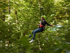 Zips & Ropes Nederland