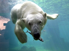 Zoo Bremerhaven