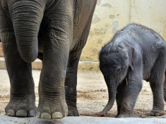 Zoo Antwerpen