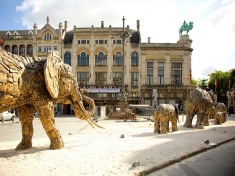 Zoo Antwerpen België