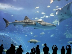 Zoo Aquarium Berlin
