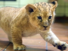 Zoo Dortmund