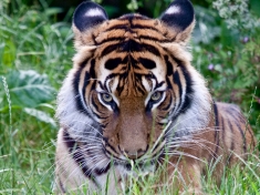 Dierentuin Dortmund