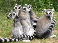 Zoo Dresden