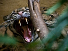 Zoo Duisburg