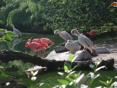 Dierentuin Duisburg
