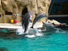 Zoo Duisburg Duitsland