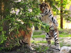 Zoo Eberswalde