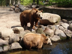 Zoo Eberswalde