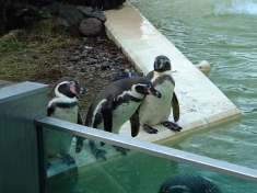 Zoo Eberswalde Deutschland